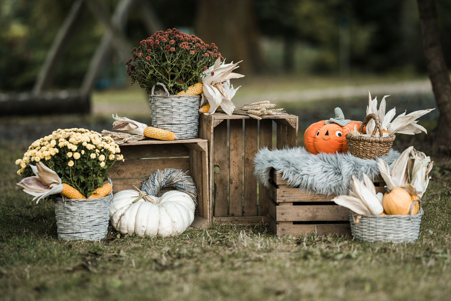 Liebevoll gestaltetes Outdoor-Fotoset mit Kürbissen und Herbstblumen für den Kita-Fototag