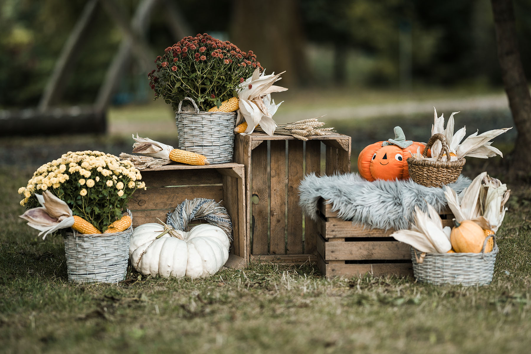 Herbstliche Outdoor-Kulisse mit Kürbissen und Blumen – Kita-Fotograf für Artern im Kyffhäuserkreis